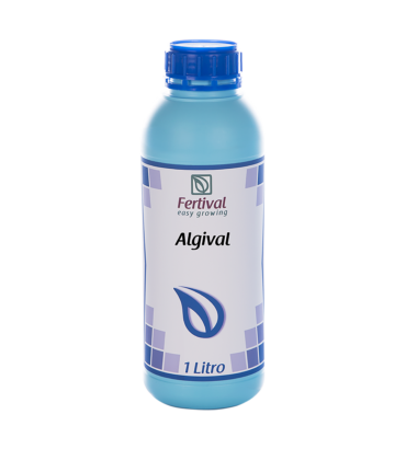 Algival