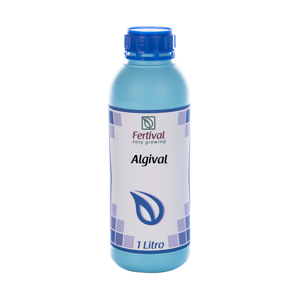 Algival