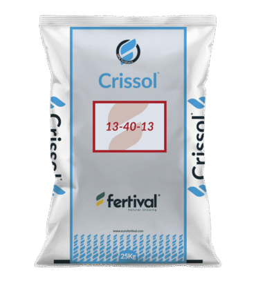 Crissol 13-40-13