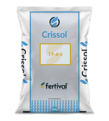 Crissol 19-6-6