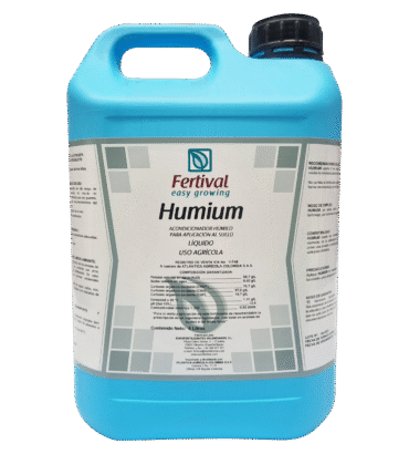 Humium