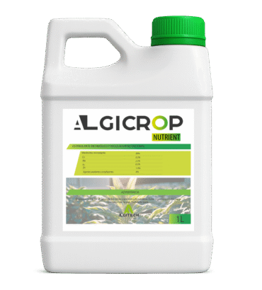 Algicrop Nutrient